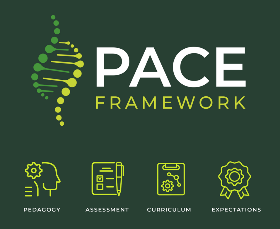 PACE Graphic - Teachers professional development