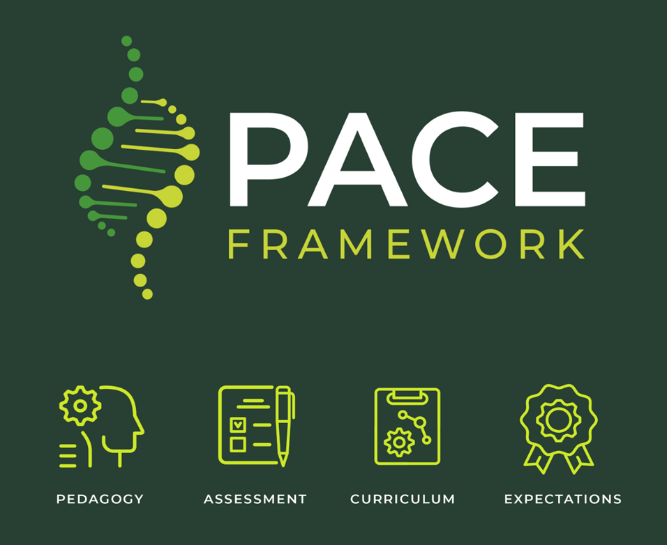 Teachers Professional Development Hub - PACE