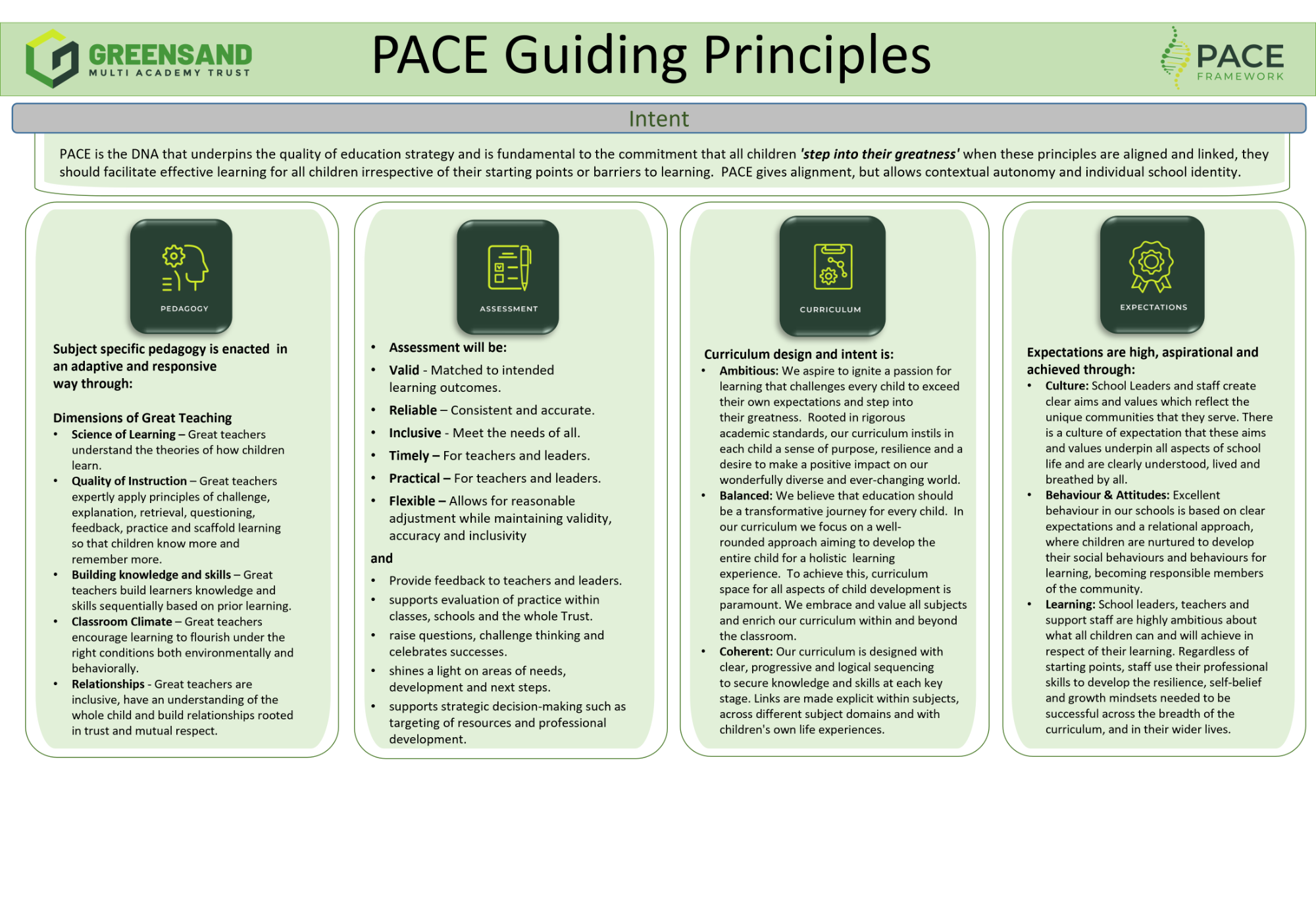Graphic outlining the PACE guiding principles
