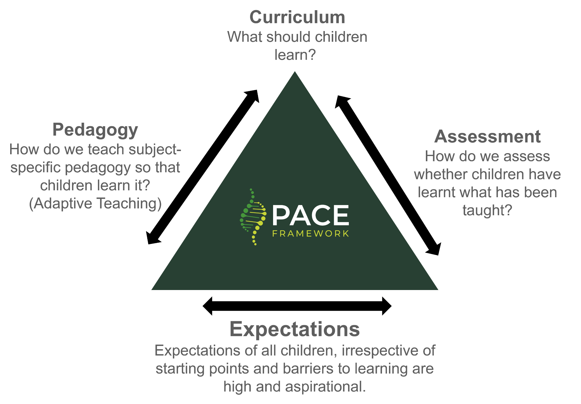 Graphic outlining the PACE framework